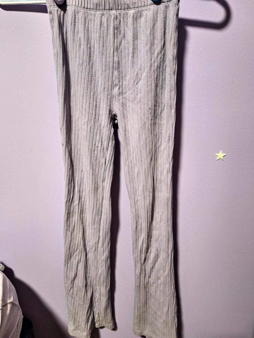 Ribbed Ankle Pants in Purple